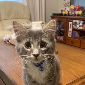 Meet your Posher, April